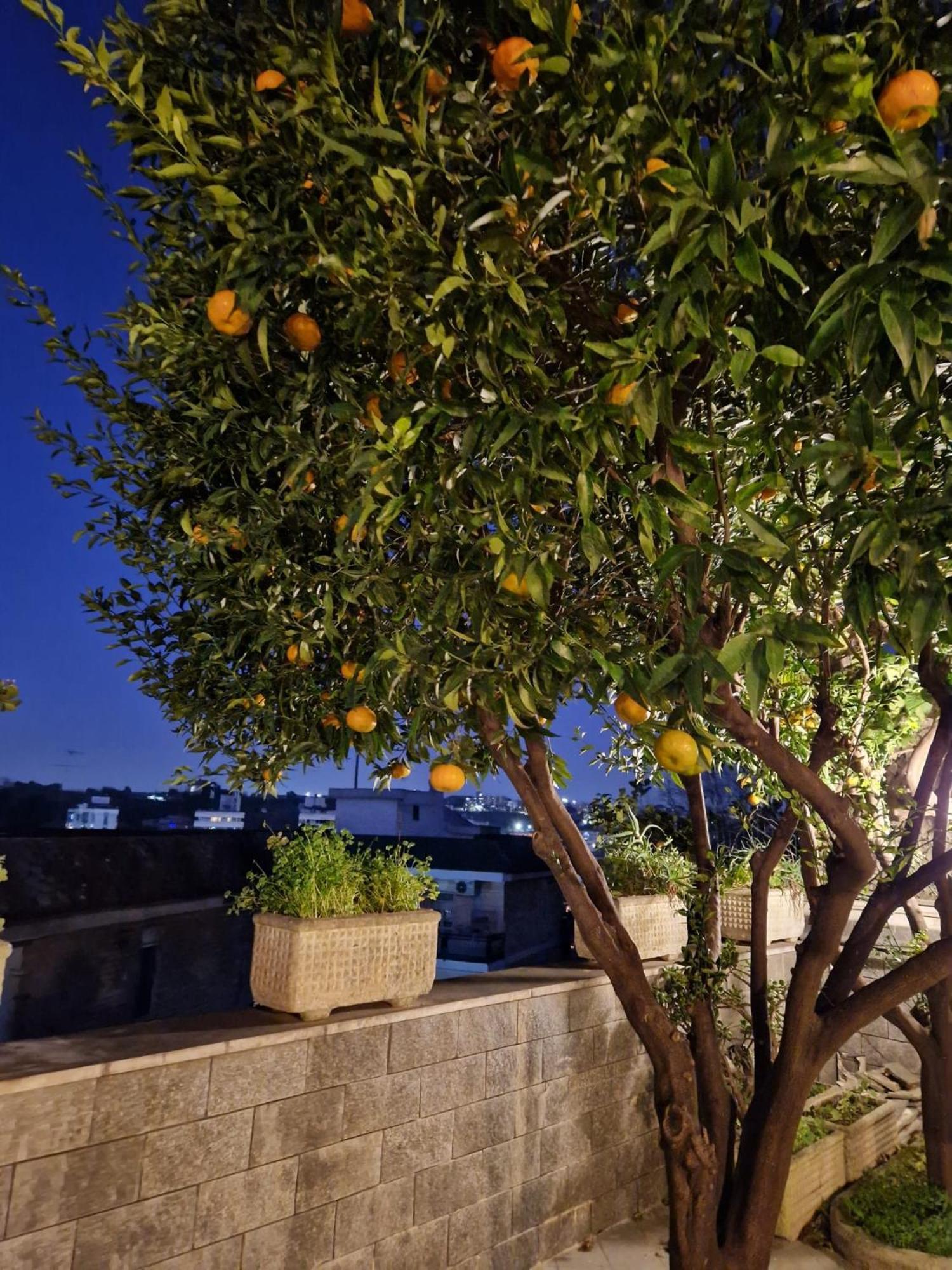 Fuga A Napoli Apartment Exterior photo